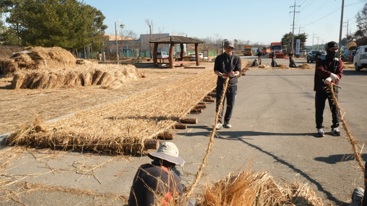 기지시줄다리기보존회 회원들이  큰 줄의 기초가 되는 작은 줄을 만들고 있다. 시 제공