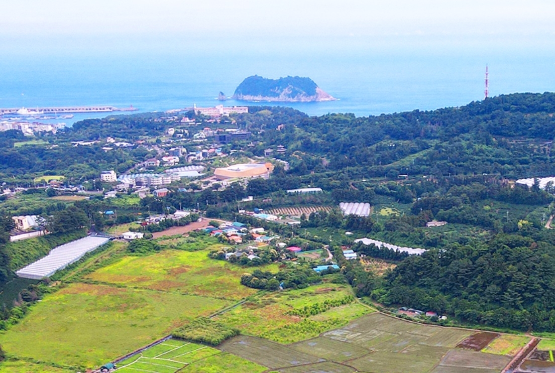 하논분화구 전경. 제주도 제공