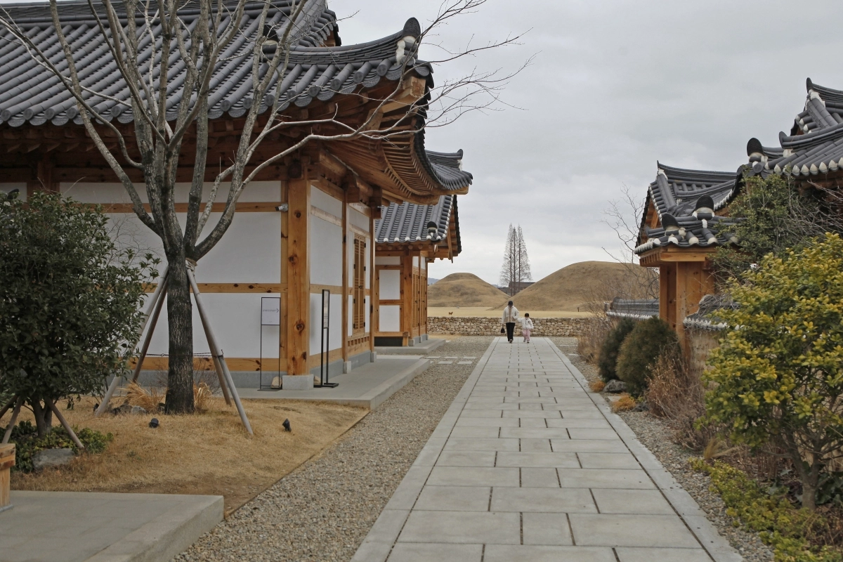 테라로사 경주점에서 본 황남리고분군 모습. 고분 사이로 솟은 메타세쿼이아가 랜드마크 역할을 한다.