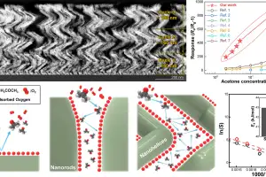 한기대 연구팀, ‘초고감도 가스 센서’ 개발
