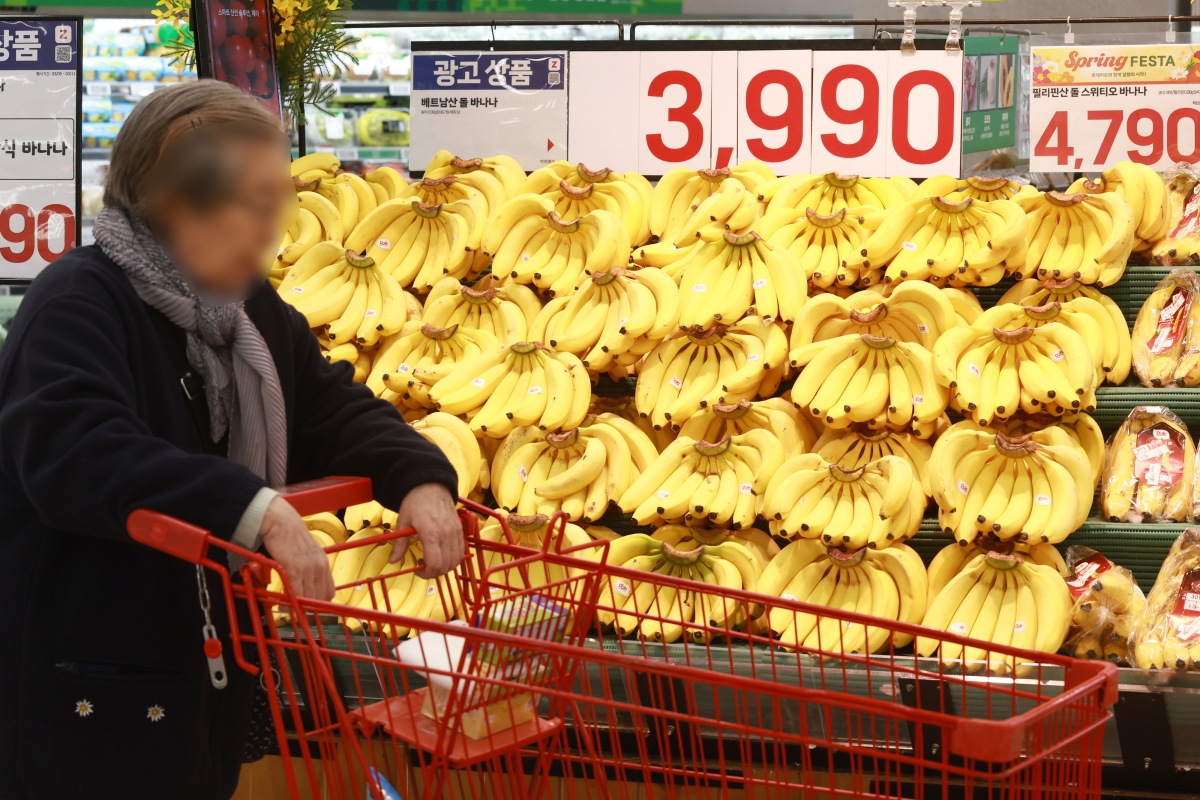바나나 가격 전년보다 16.5% 상승