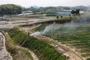 10년 평균보다 늘어난 산불…기동 단속에 화목보일러 재처리 용기 보급도