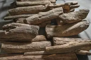 국립해양유산연구소, 700년 전 신안선 자단목 공개