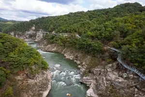 50만년 전 굳은 ‘용암의 속살’…신비로운 한탄강 주상절리