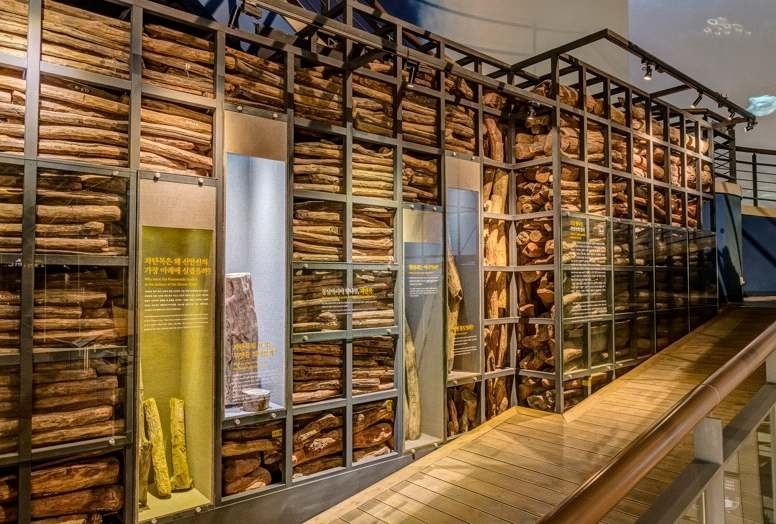 신안선 출수 자단목. 국립해양유산연구소 제공