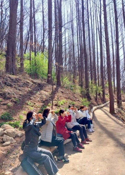 서울 서대문구 안산(鞍山) 치유의 숲길 체험 활동.   서대문구 제공
