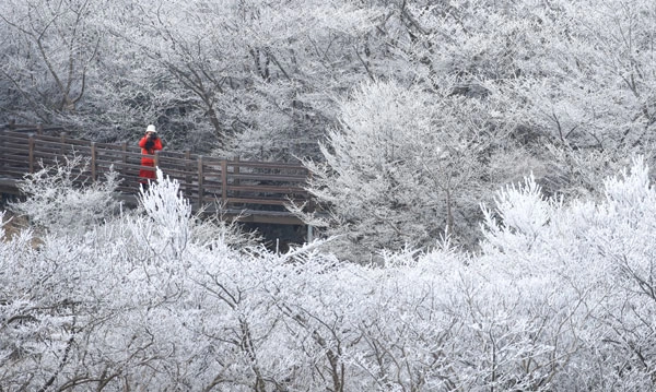 기습 추위가 찾아온 7일 오전 제주 한라산 1100고지 습지 인근 고지대에 상고대가 활짝 피어나 봄 계절 속 겨울 정취를 자아내고 있다. 2026.03.07.<br>뉴시스