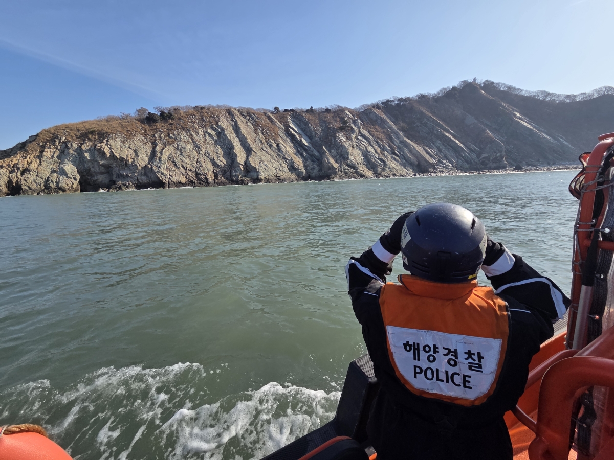 실종자를 수색하고있는 보령해경. 보령 해경 제공