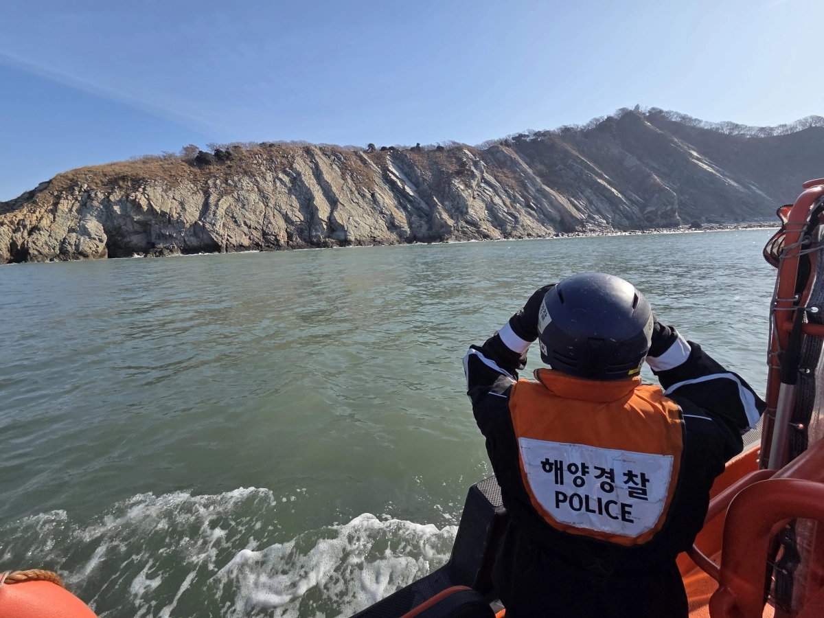 실종자를 수색하고있는 보령해경. 보령 해경 제공