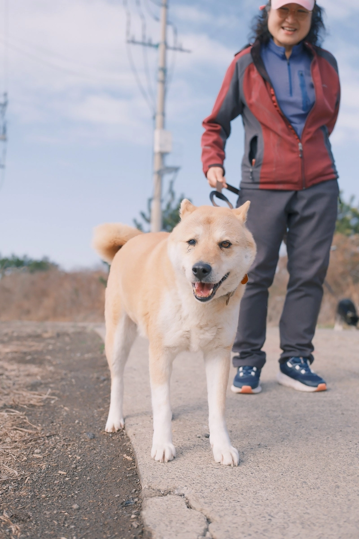 제주도 첫 공식 민간동물보호시설로 등록된 한림쉼터 앞에서 봉사자와 산책나온 유기견. 한림쉼터 제공