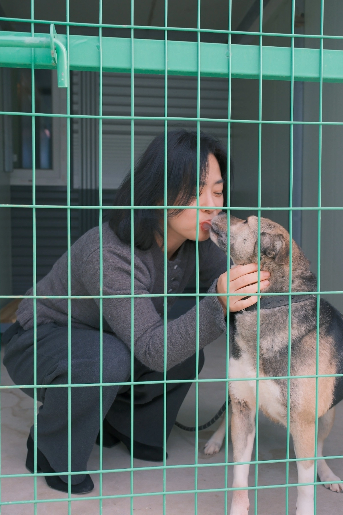 한림쉼터에서 봉사자가 유기견을 돌보며 교감을 나누고 있다. 한림쉼터 제공