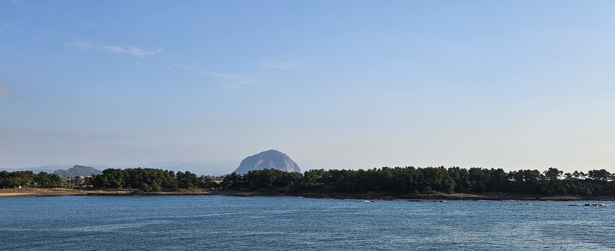 제주 서귀포 모슬포항 인근 해상에서 50대 여성으로 추정되는 변사체가 발견됐다. 사진은 모슬포항 일대 전경. 제주 강동삼 기자