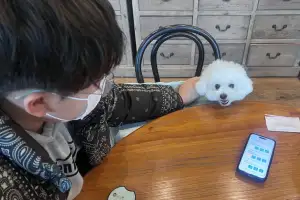 반려인은 “환영” 업주는 “부담”…반려동물 동반 카페 가보니