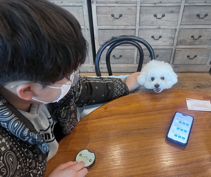 김서현씨의 초등학생 아들이 8일 경기 용인시의 한 브런치 카페에서 2살 비숑프리제 ‘슈가’를 쓰다듬고 있다. 슈가는 김씨 가정이 식사하는 1시간 동안 강아지 가방에 담겨 얌전히 있었다. 반영윤 기자