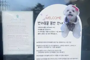 반려인 “외식 때 함께할 수 있어 만족” 업주들 “요건 까다롭고 위생 관리 부담”
