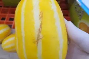 경기 ‘아까운 농산물’ 유통 전국 첫 지원