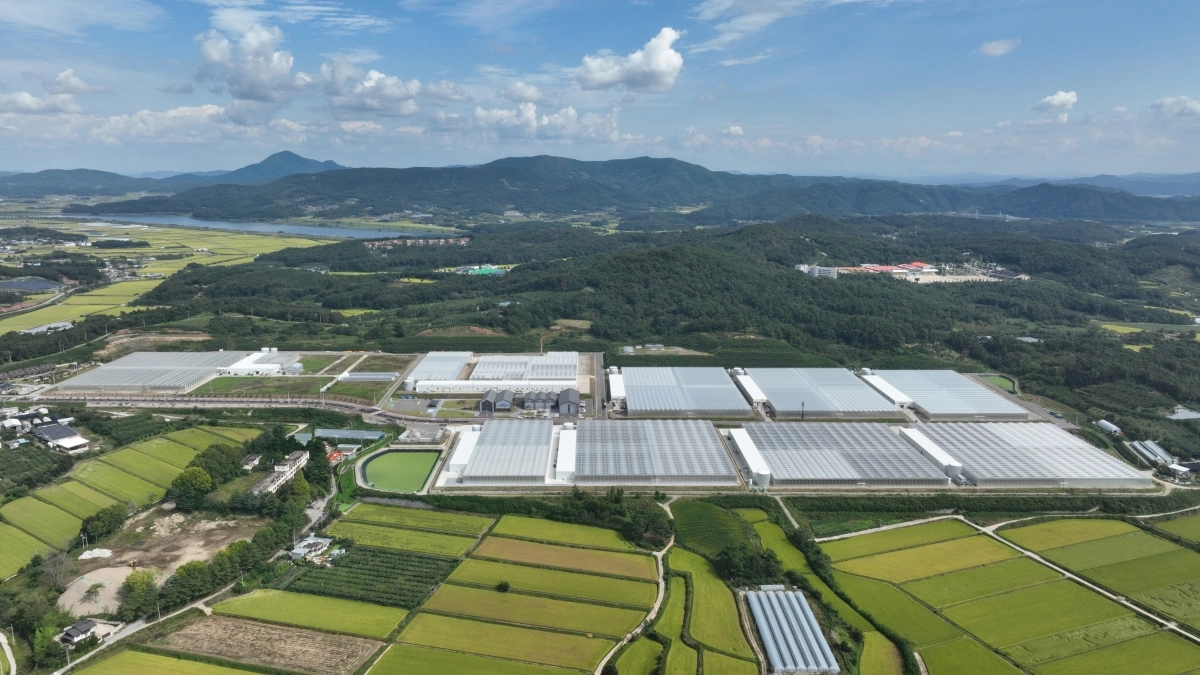 경북 상주시 사벌국면 일대 부지 43㏊에 국내 최대 규모로 조성된 ‘상주 스마트팜 혁신밸리’ 전경. 이곳은 청년창업보육센터·임대형 스마트팜·빅데이터 센터 등이 들어서 청년농·미래 농업기술 육성 등 농업 혁신의 국책사업 핵심 기능을 수행한다. 상주시 제공