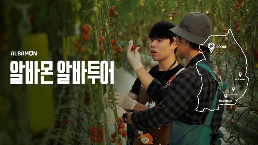 알바몬 ‘알바투어’ 캠페인 영상 가운데 경주 스마트팜에서 대추방울토마토 재배 아르바이트를 체험하는 장면. 알바몬 제공