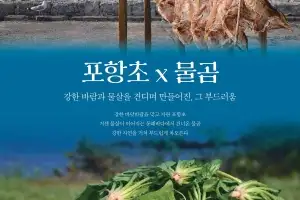 3월 경북 미식 여행 즐기려면…“제철 맞은 포항초·물곰 추전”