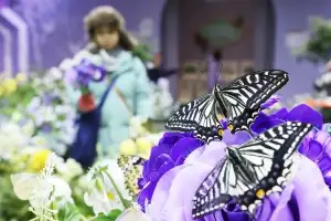 ‘현장 줄 서기 끝’…장애인 에버랜드 할인 온라인서 즉시 적용