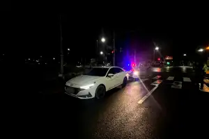 음주검문 불응·도주한 불법체류자… 신임 경찰관 300m 추격 끝 검거