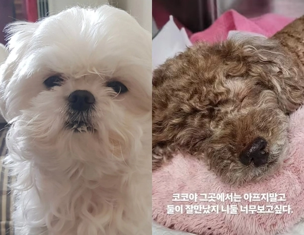 사진=구성환 인스타그램 캡처