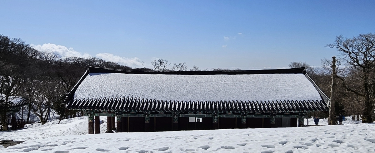 건축 규제가 완화되는 도 지정문화유산 존자암지. 제주 강동삼 기자