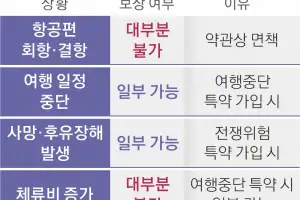 “비행기 회항했는데 보상 안 된다니”… 전쟁에 막힌 여행자보험