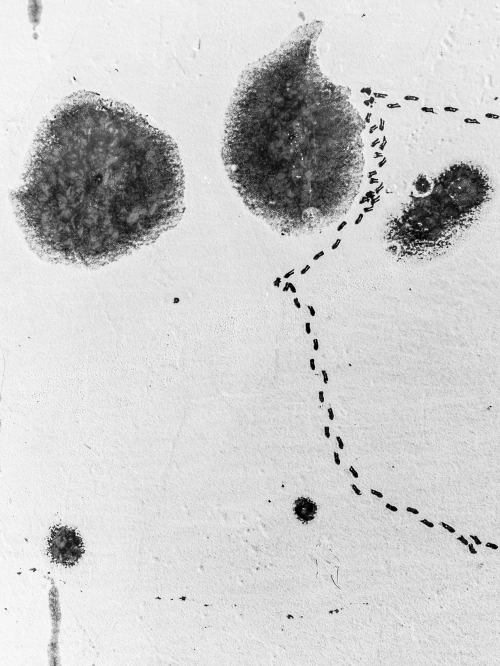 박김형준 ‘겨울조감도’