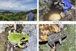 ‘섬 개구리’ 국내 156개 섬에 12종 서식 확인…5년 조사 결과