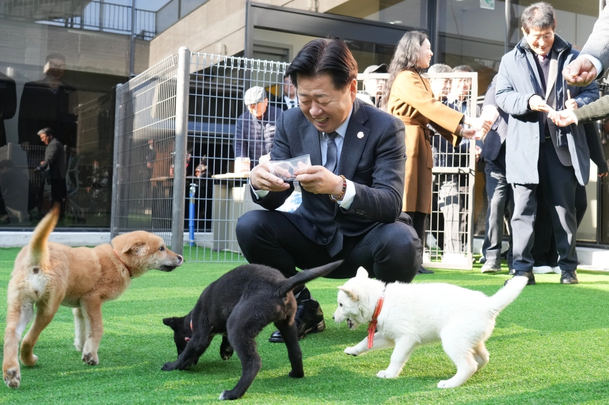 제주도는 지난해 12월 15일 제주시 애월읍 어음리에서 열린 반려동물 놀이공원과 제2 동물보호센터 개관식에서 오영훈 지사가 반려견들과 행복한 한 때를 보내고 있다. 제주도 제공