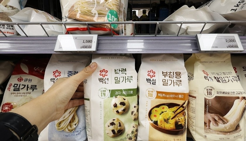 서울신문 DB.