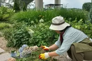 성동구, ‘마을정원사’ 양성…주민과 함께 일상 속 정원 넓힌다