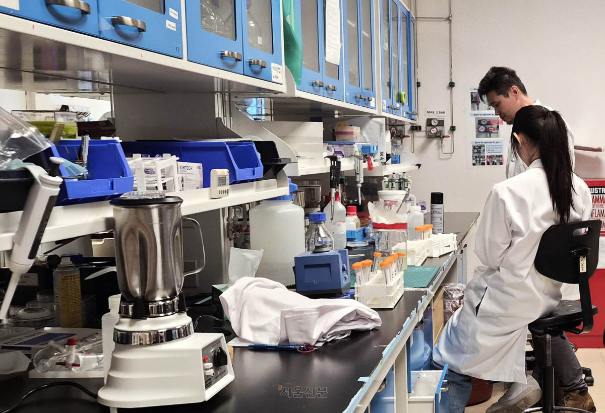 NTU 조남준 교수 연구팀이 꽃가루를 다른 물질로 변환하는 실험을 진행 중이다. 싱가포르 김가현 기자