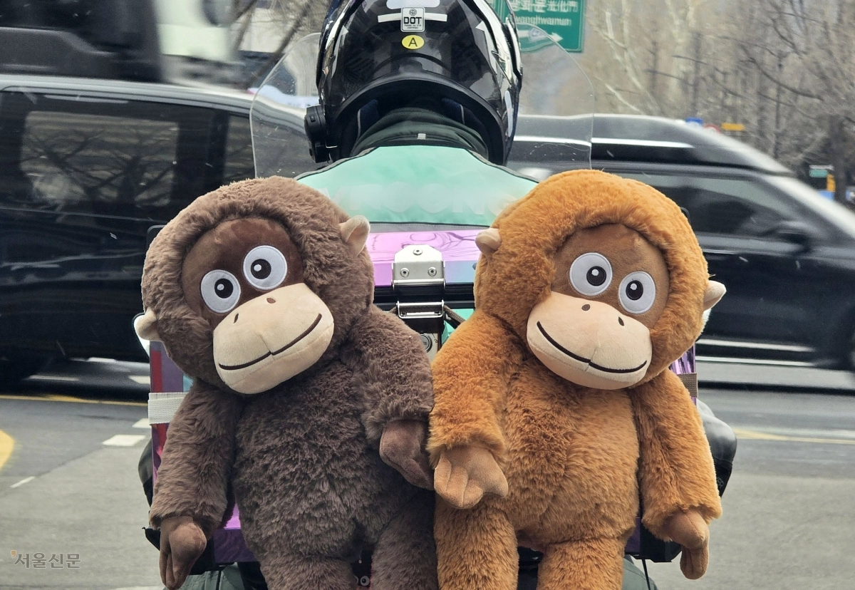 뒤차를 배려하는 마음