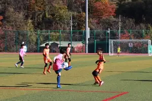 경북 울진군서 유소년 축구 열전…“우승팀 해외 전지훈련 혜택”