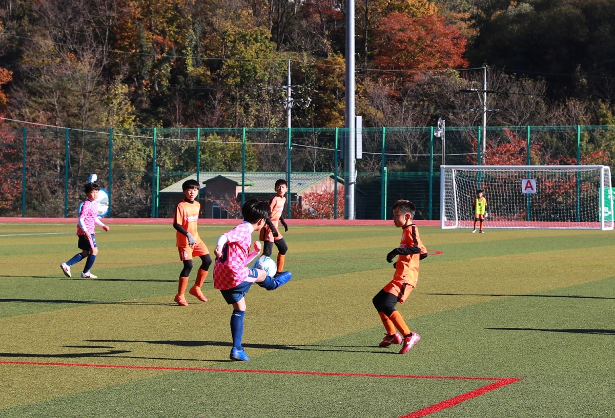 지난해 경북 울진군에서 열린 백암온천배 춘계 전국 유소년 축구대회 현장. 울진군 제공