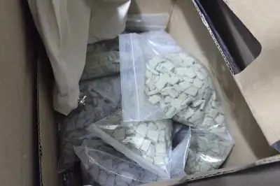 자택에 ‘마약 공장’ 차린 외국인…경찰, 마약류 3.3㎏ 압수