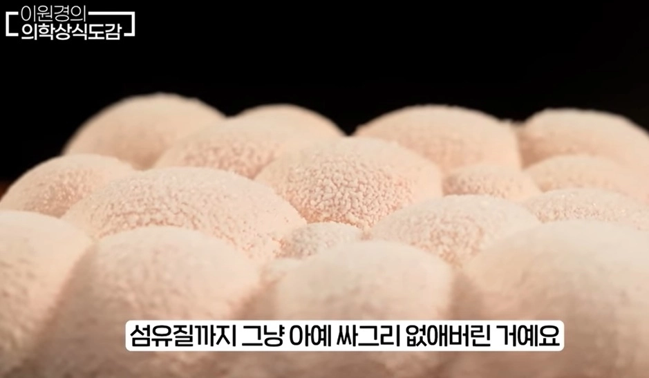 영상의학과 전문의 이원경 원장은 한국인들이 일상적으로 먹는 음식 가운데 췌장 건강에 악영향을 줄 수 있는 식품들을 소개했다. 유튜브 채널 ‘이원경의 의학상식도감’ 캡처