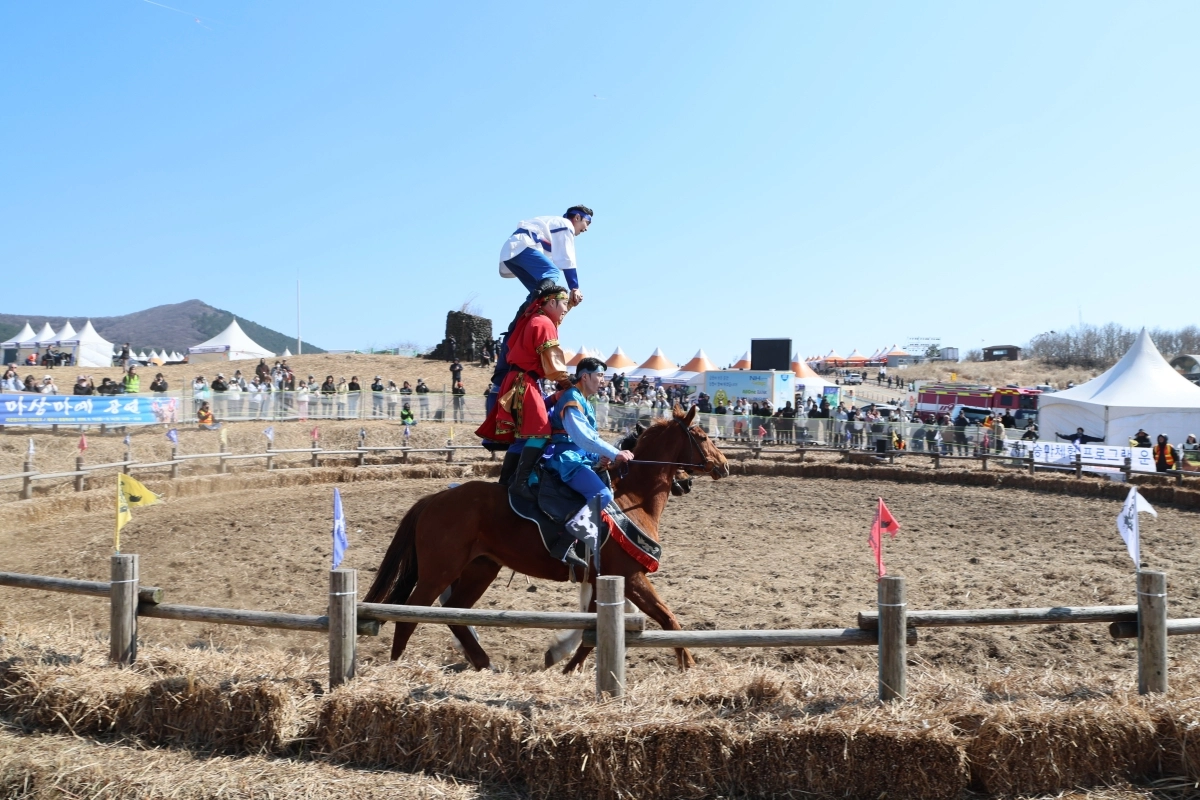 들불축제의 대표 공연 중 하나인 마상마예공연 모습. 제주시 제공