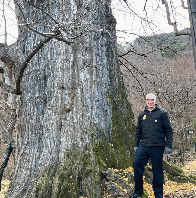 윌리엄 네드 프리드먼 아놀드 수목원 원장이 지난해 12월 경기도 양평군 용문사를 방문해 수령 1000년이 넘은 암은행나무 앞에서 기념촬영을 하고 있다. 프리드먼 원장은 미국 하버드대 유기체·진화생물학과 석좌교수를 겸직 중이다. 아놀드 수목원 제공