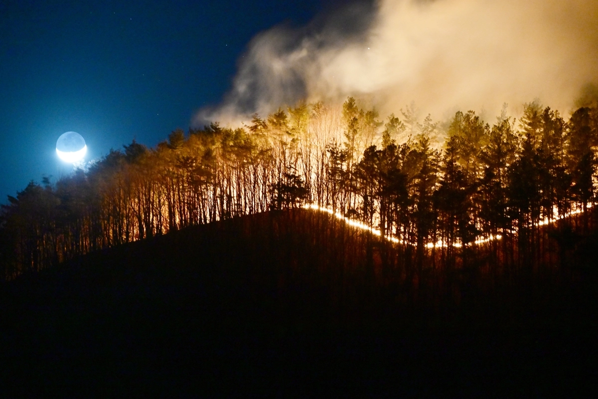 22일 오후 경남 함양군 마천면 창원리 야산에서 산불이 강풍을 타고 계속 번지고 있다. 2026.02.22. 뉴시스