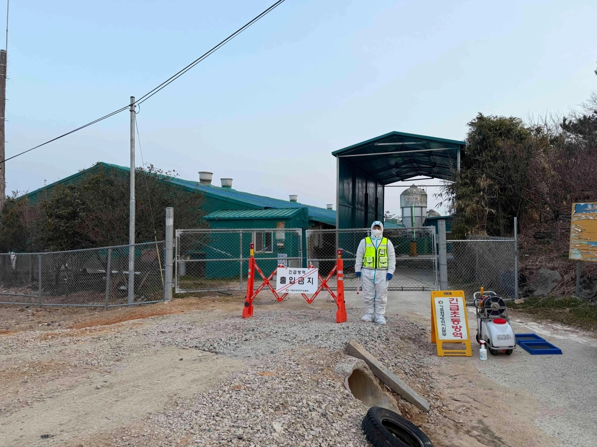 전남도가 함평 양돈농가의 아프리카돼지열병 발생 농가 일대에서 긴급초동방역 활동을 하고 있다.