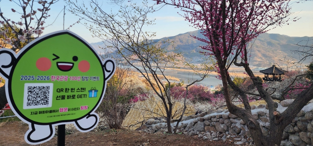 광양매화마을 탐방 이벤트를 위해 설치한 QR 코드