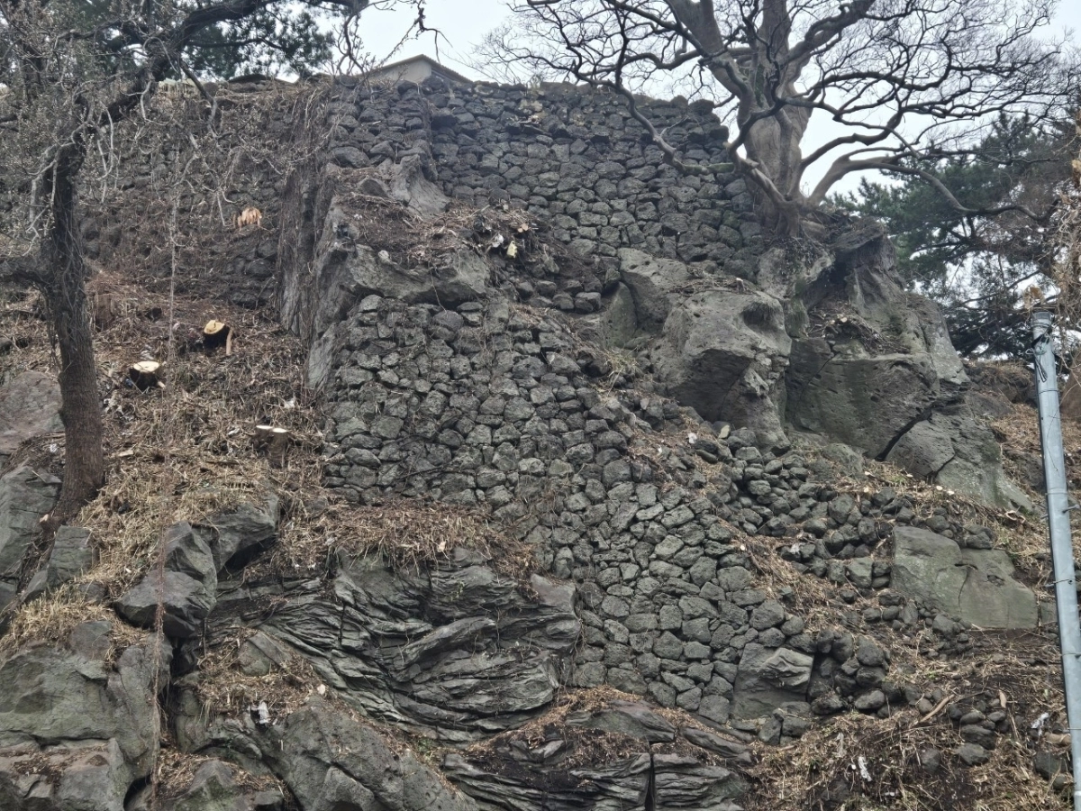 제주성지 수목정비 후 드러난 여장시설. 제주도 제공