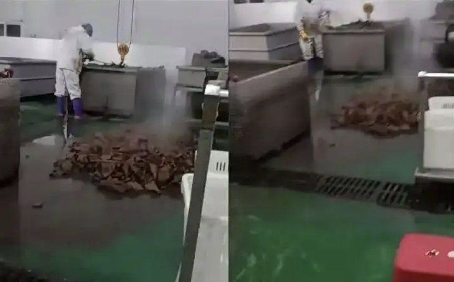 중국에서 1300만명이 넘는 팔로워를 보유한 유명 인플루언서 ‘루하’가 판매한 즉석식품의 가공공장에 대해 위생 문제가 제기돼 공장의 영업이 중단되고 제품 환불 및 보상 조치가 진행 중이다. 사진은 공장에서 식재료를 지저분한 맨바닥에 방치한 모습. 자료 : 중국 웨이보