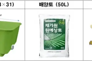 서대문구, ‘우리 집 작은 농장’ 상자텃밭 분양