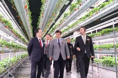 도심 속 실내 농장 ‘대전팜’ 9개 조성…대전시 확대 계획