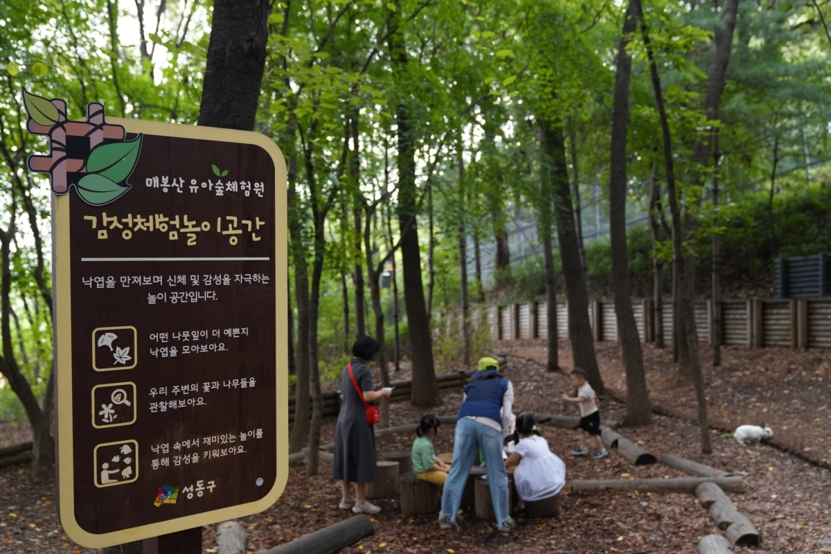 성동구 매봉산 유아숲체험원 감정체험놀이공간. 성동구 제공