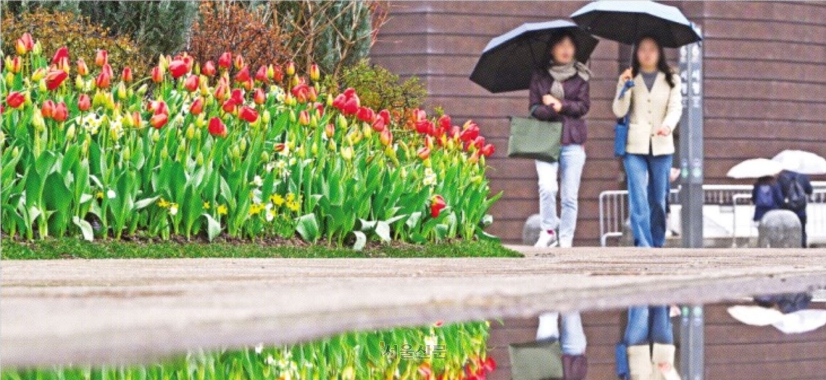 봄비 뒤엔 꽃샘추위